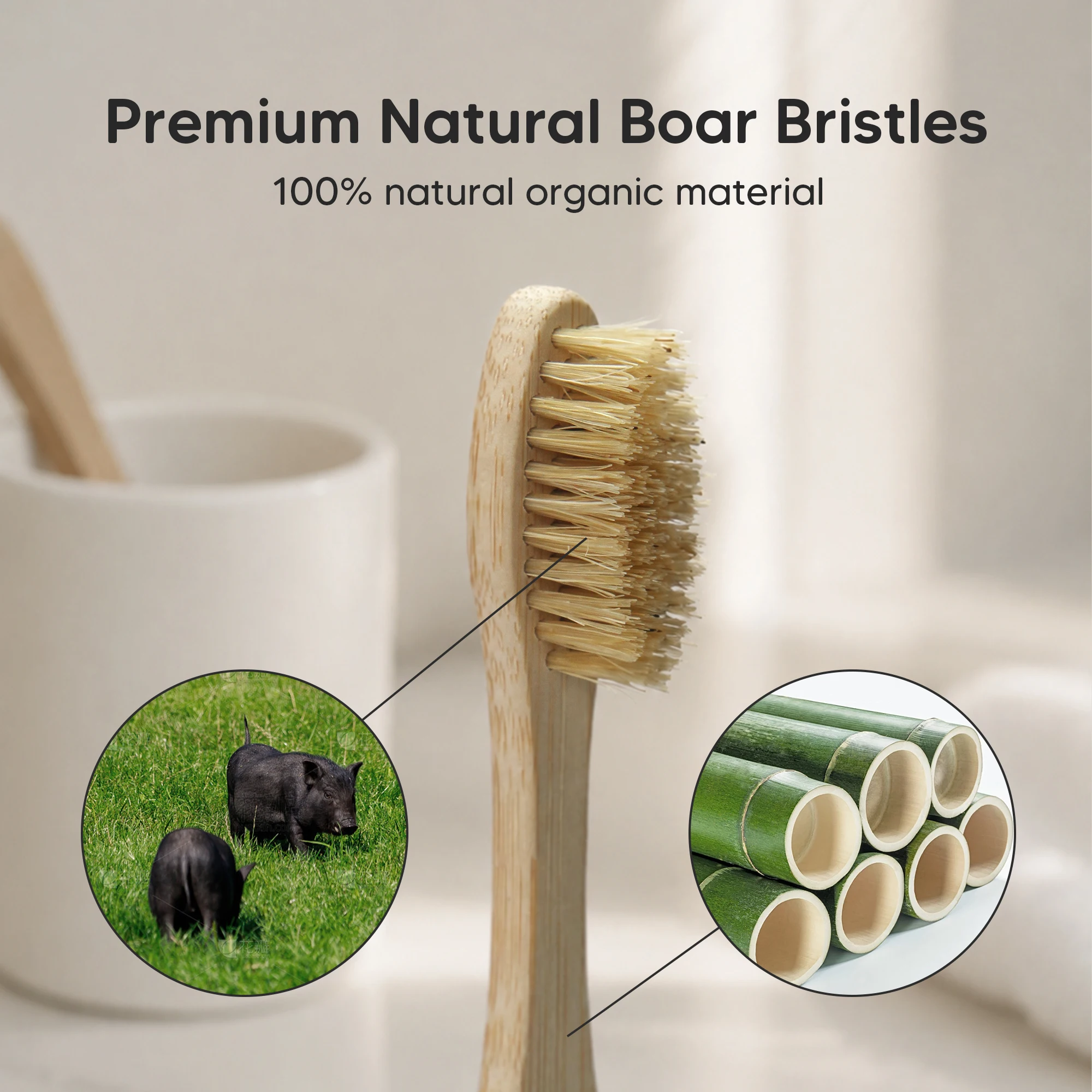 Green Custom Laser Engraved Logo Eco Friendly Biodegradable Standing Natural Boar Bristle Bamboo Toothbrush